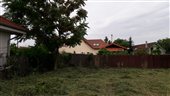 fotografia
